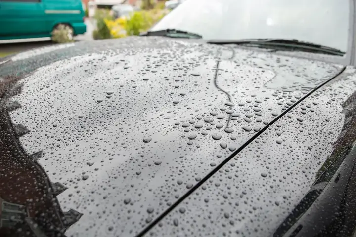 Work by Owner’s Pride Auto Spa Orlando